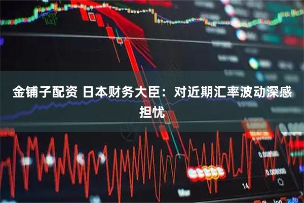 金铺子配资 日本财务大臣：对近期汇率波动深感担忧